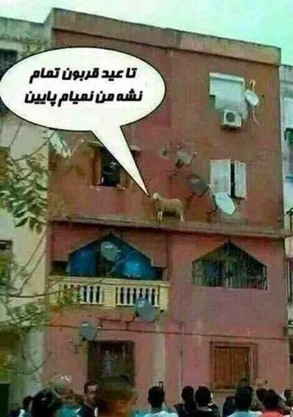 عکس های خنده دار جدید ۱۴۰۳