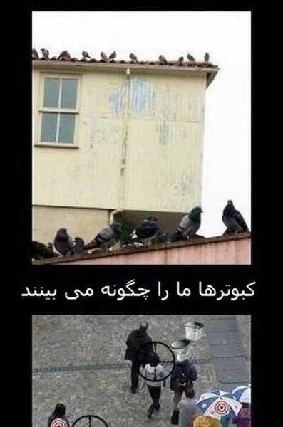 عکس تصویر های خنده دار و جالب