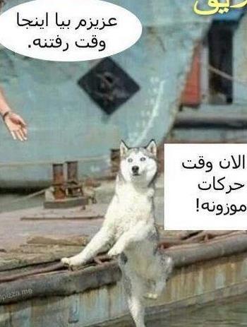عکس های خنده دار جالب و باحال