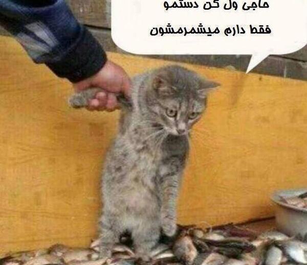 عکس های خنده دار جالب و باحال