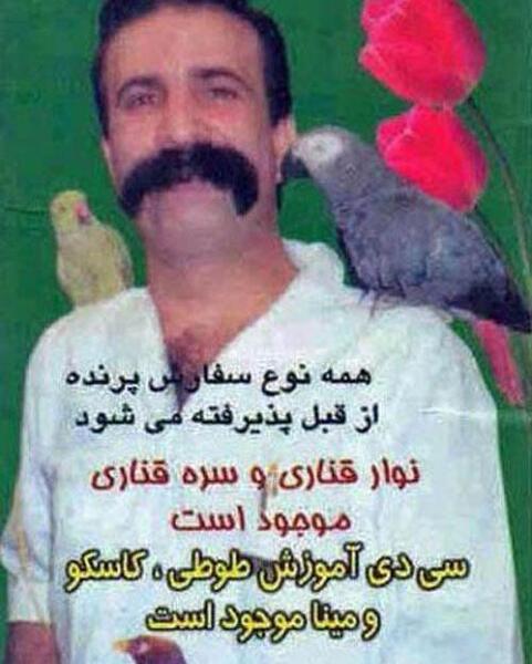 عکس های خنده دار جالب و باحال