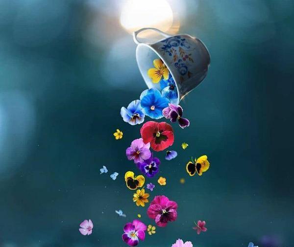 عکس برای پروفایل خاص و شیک