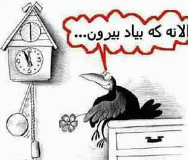 عکس های خنده دار ایرانی خارجی