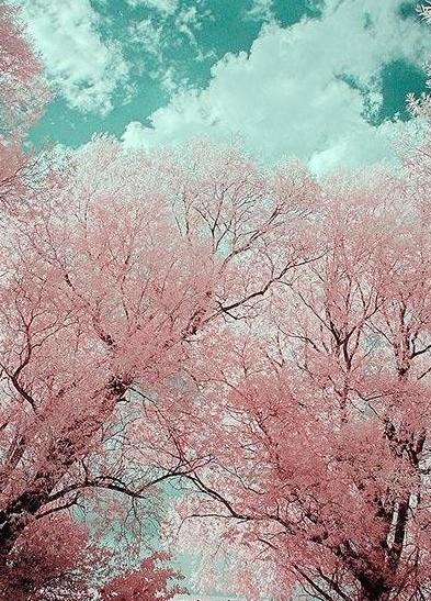 عکس های زیبا برای روی صفحه موبایل