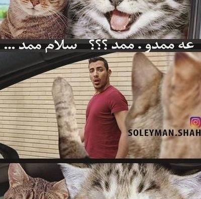 عکس های خنده دار حیوانات خانگی