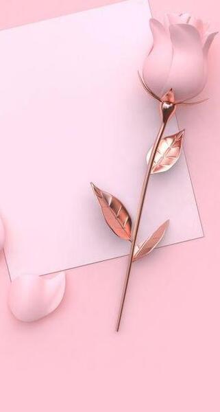 عکس های زیبا برای تصویر زمینه موبایل