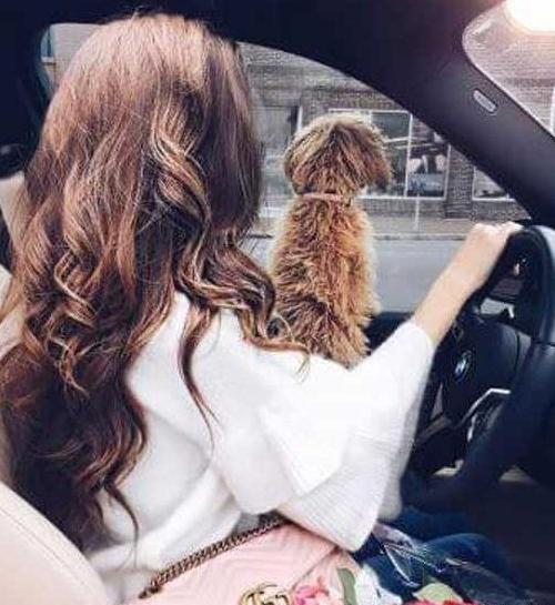 عکس لاکچری دخترونه با ماشین