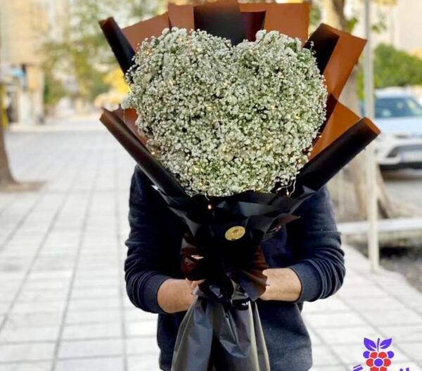 عکس گل ژیپسوفیلا رنگی