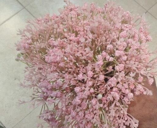 عکس گل ژیپسوفیلا رنگی