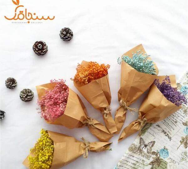 عکس گل ژیپسوفیلا رنگی