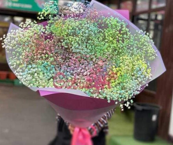 عکس گل ژیپسوفیلا رنگی