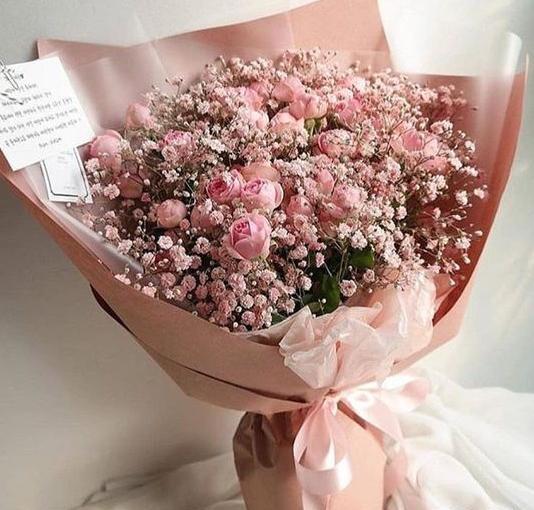 عکس گل ژیپسوفیلا رنگی