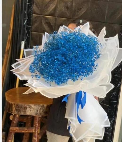 عکس گل ژیپسوفیلا رنگی
