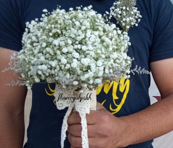 عکس گل ژیپسوفیلا رنگی