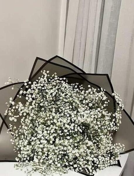 عکس گل ژیپسوفیلا رنگی