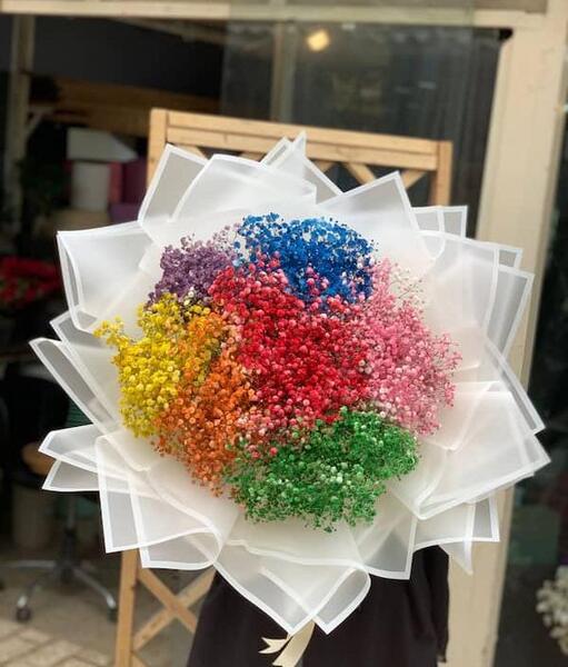 عکس گل ژیپسوفیلا رنگی