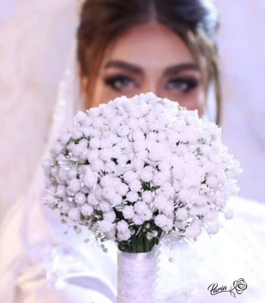 عکس گل ژیپسوفیلا رنگی
