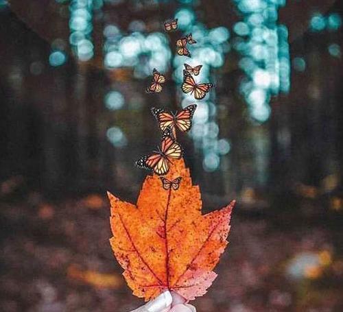 یه عکس پروفایل خاص