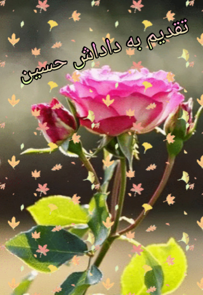 عکس داداش حسین
