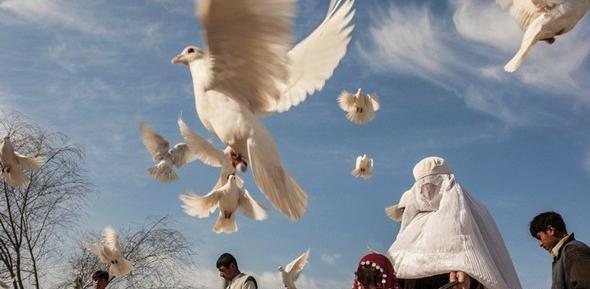 عکس دختر ۱۵ ساله افغانی