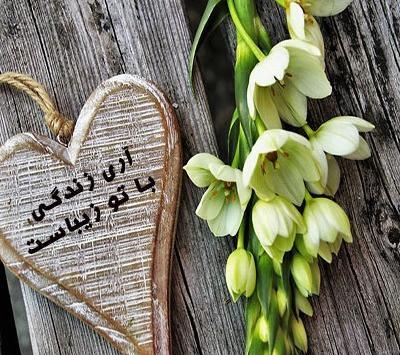 عکس پروفایل گل زیبا با متن
