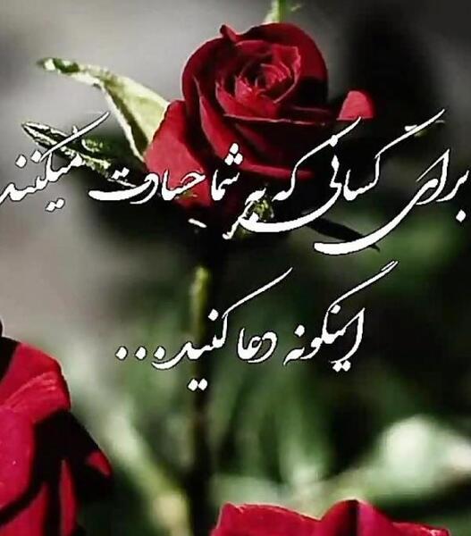 عکس پروفایل گل زیبا با متن