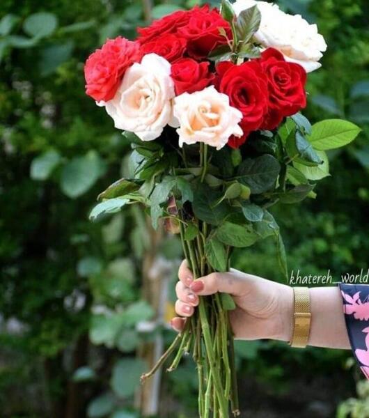 عکس گل زیبا جدید