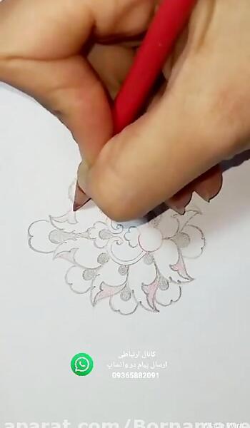 عکس گل شاه عباسی
