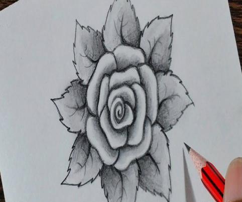 عکس گل طراحی ساده