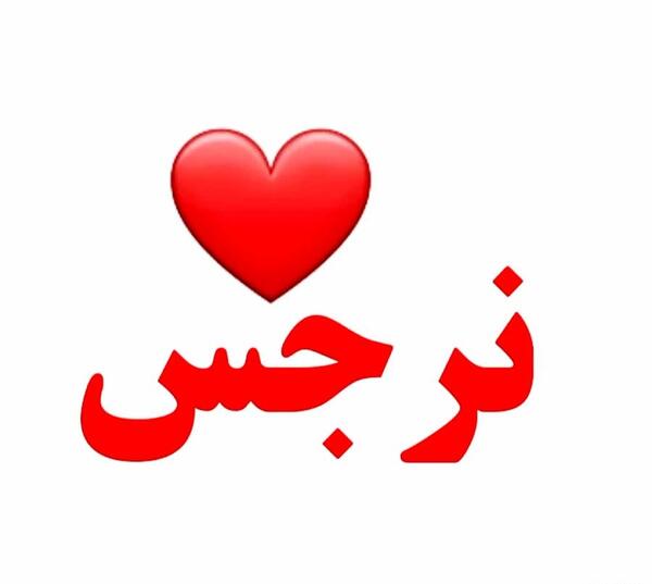 عکس تولدت مبارک فرزانه جون