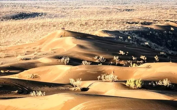 عکس ریگ جن