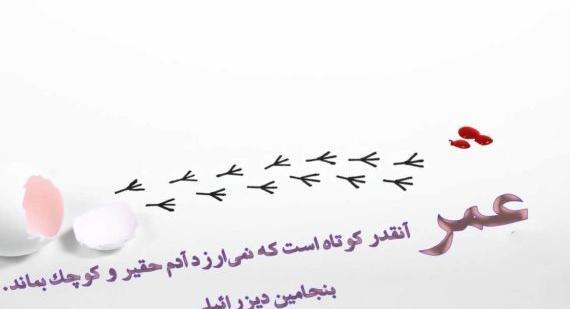 عکس پروفایل آموزنده و زیبا