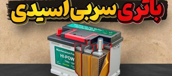 عکس گل چتی