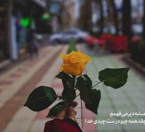 عکس گل نوشته دار خدا