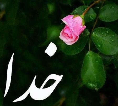 عکس گل نوشته دار خدا