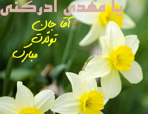 عکسهای راز موفقیت