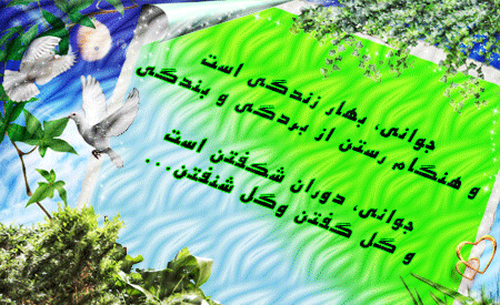 عکسهای راز موفقیت