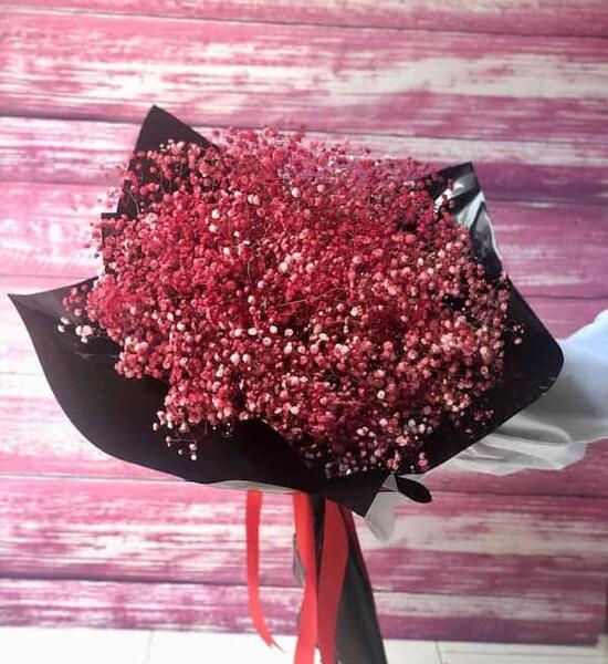 عکس گل ژیپسوفیلا قرمز