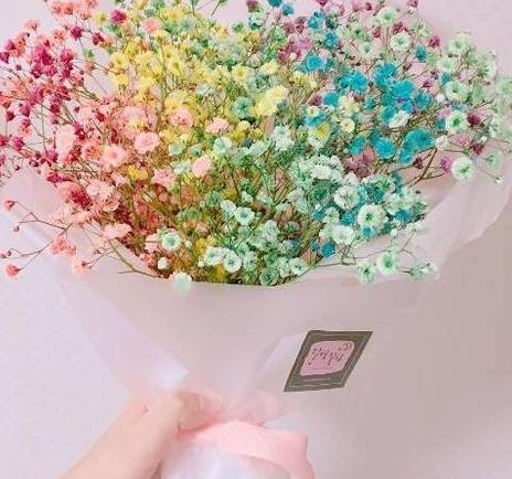 عکس گل ژیپسوفیلا قرمز