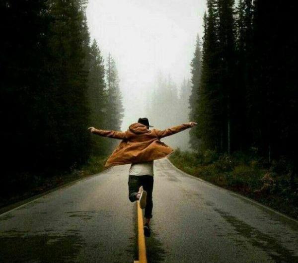 عکس پروفایل جنگل زیبا