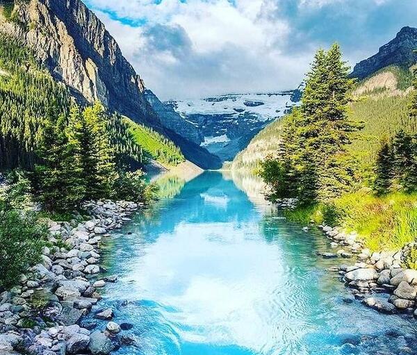 عکس پروفایل جنگل زیبا