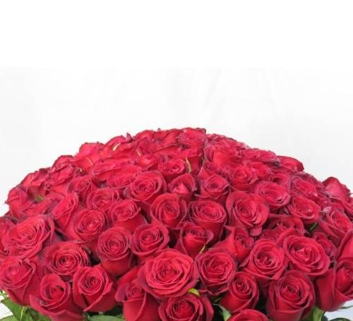 عکس گل خوب