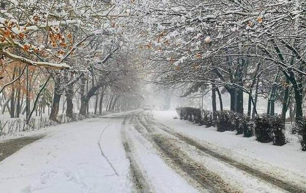 عکس های برفی