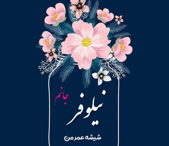 عکس تولدت مبارک نیلوفر