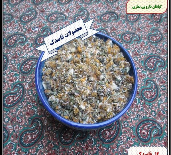 عکس گل قاصدک خشک شده