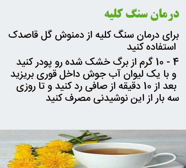 عکس گل قاصدک خشک شده