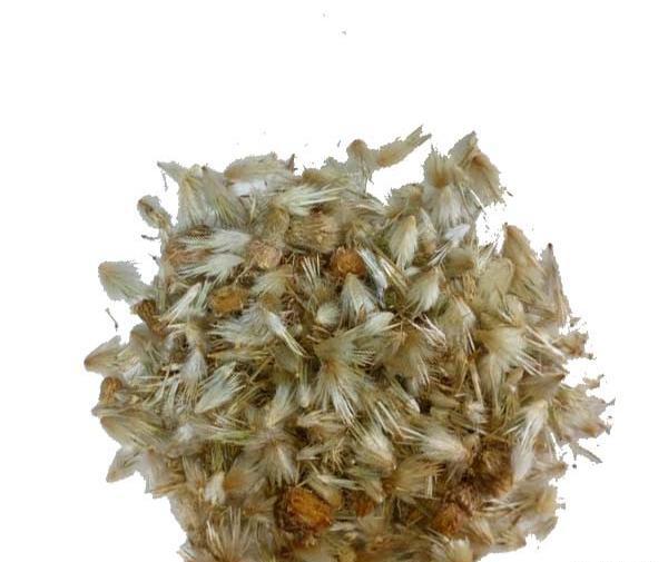 عکس گل قاصدک خشک شده