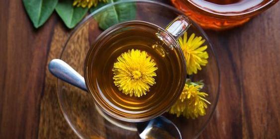 عکس گل قاصدک خشک شده