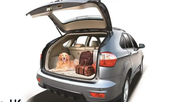 عکس ماشین byd