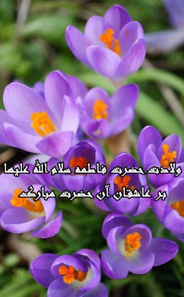 عکس نوشته ولادت حضرت زهرا سلام الله علیها